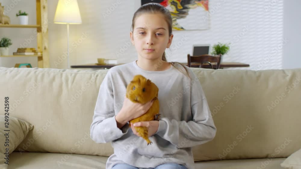 Medium shot of teenage Caucasian girl sitting on sofa with guinea pig in her hands and shooting video for her blog Medium shot of teenage Caucasian girl sitting on sofa with guinea pig in her hands and shooting video for her blog