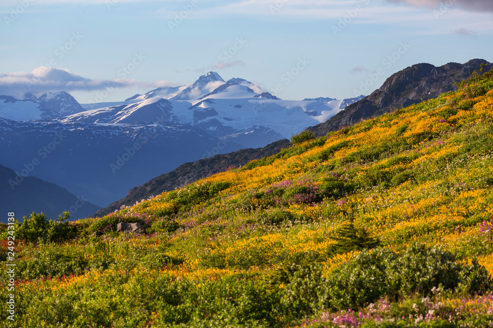 Fototapeta premium Mountains on Alaska
