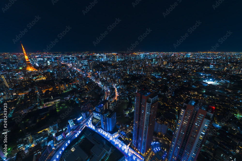 Fototapeta premium 東京夜景 ワイド 俯瞰で望む大都会
