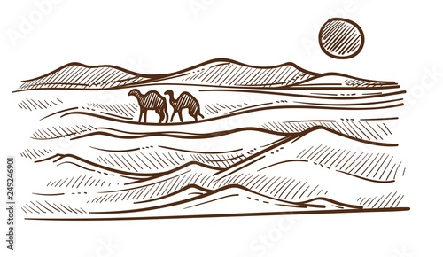 African desert with camels and barkhans or sand hills sketch