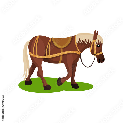 Cute brown horse with blonde mane and tail. Hoofed mammal animal with saddle on back. Flat vector design