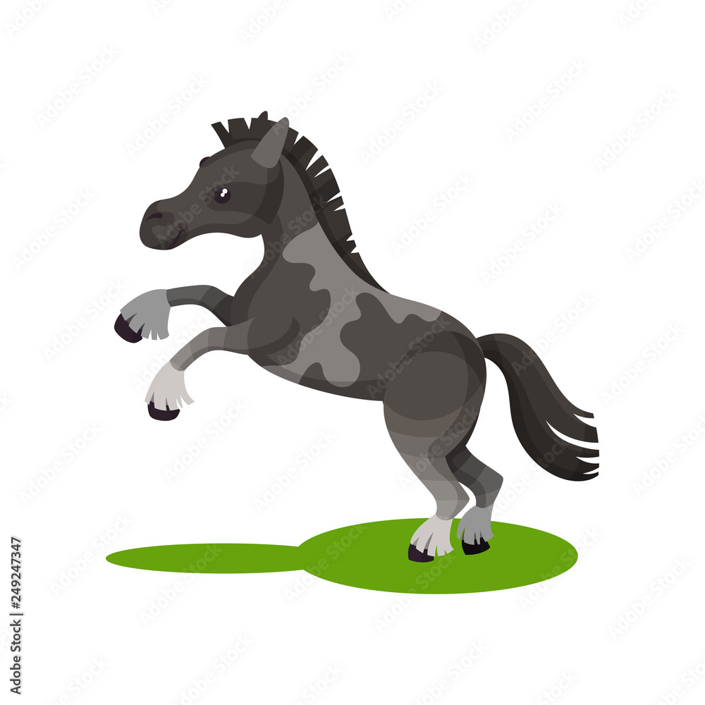 Fototapeta premium Flat vector design of cute gray spotted horse standing on its hind legs. Pony with short mane and long tail