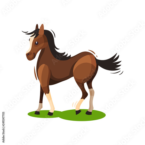 Flat vector design of lovely brown horse walking by green grass. Hoofed mammal animal with black mane and tail