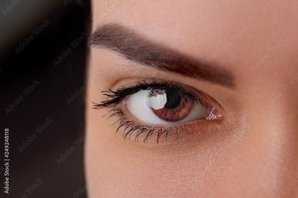 Obraz premium Beautiful macro shot of female eye with extreme long eyelashes and black liner makeup. Perfect shape make-up and long lashes. Cosmetics and makeup. Close Up macro shot of fashion eyes visage.Cosmetics