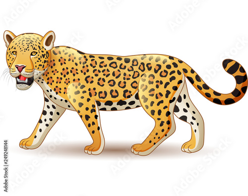 Cartoon Cheetah isolated on white background
