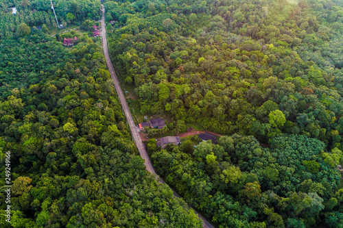 Aerial view of tropical green forest