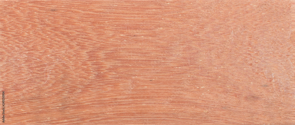 Fototapeta premium Wood from the tropical rainforest - Suriname - Symphonia globulifera