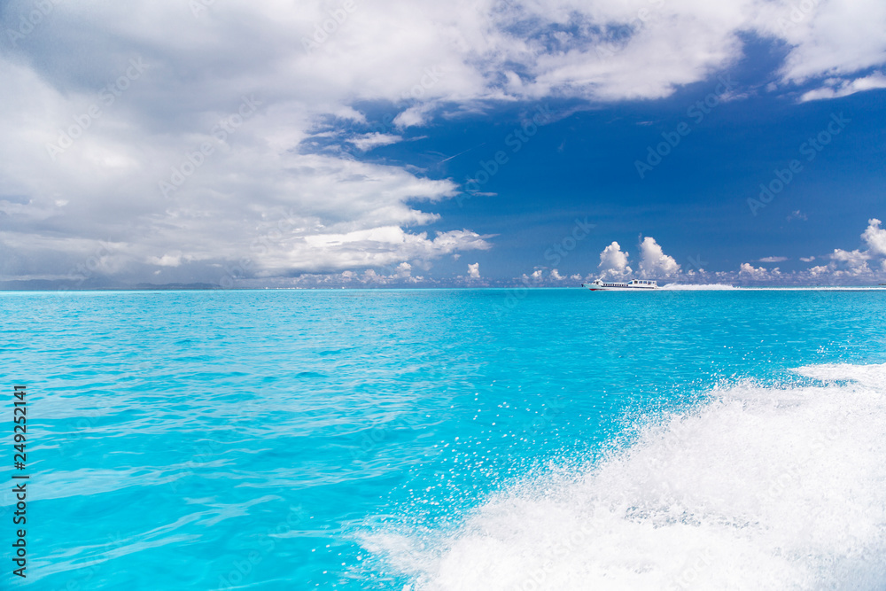 Fototapeta premium 青く透明な南国の海