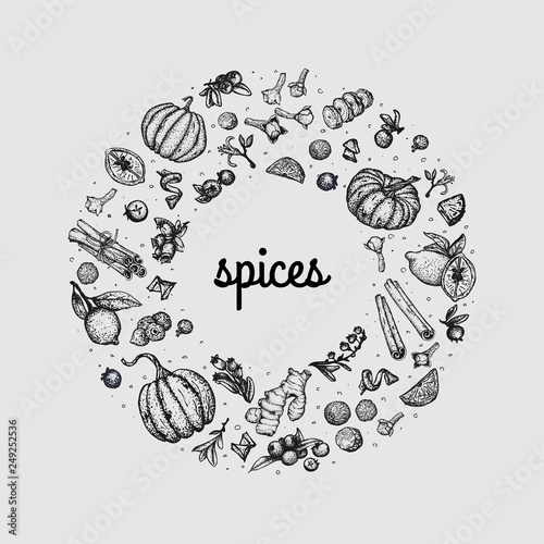 Vector circle with isolated hand drawn traditional spices and hot drinks ingredients, pumpkins and flowers on white background