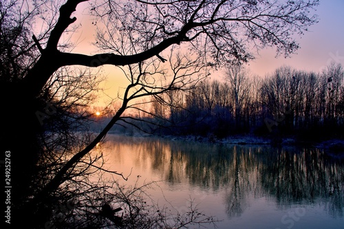 Amazing lanscape Danubian floodplain at sunrise, Malinovo, Slovakia, Europe