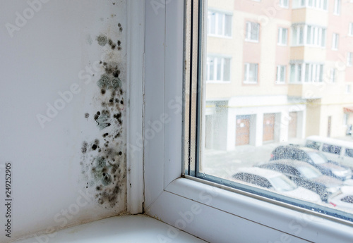 Black mould and fungus on wall near window. The problem of ventilation, dampness, cold in the apartment.