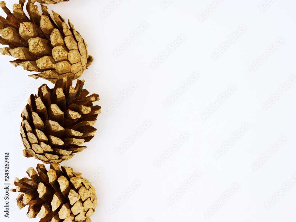 Brown pine cone on white background . Autumn and Winter composition.Christmas Holidays Background.Flat lay, top view. Close-up of many brown color natural dry pine cones. Brown pine cone on white background . Autumn and Winter composition.Christmas Holidays Background.Flat lay, top view. Close-up of many brown color natural dry pine cones.