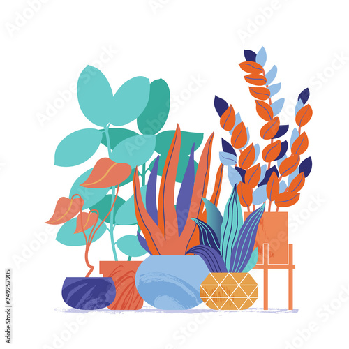Decorative set of house plants - monstera, cactus, aloe, zamioculcas in pots, cute brightly colored flat vector illustration isolated on white background. Set of stylized houseplants in bold colors