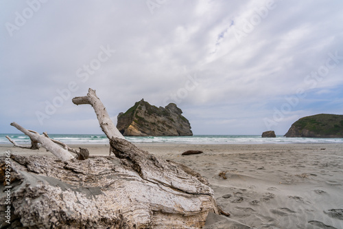 Wharariki Beach  Golden Bay  Rippled Sand and rock formations at Wharariki Beach  Nelson  North Island  New Zealand