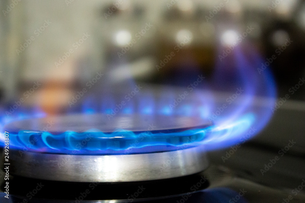 Fototapeta gas stove blue fire burner methane kitchen household gas