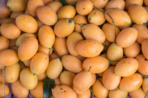 Plum Mango in the market.