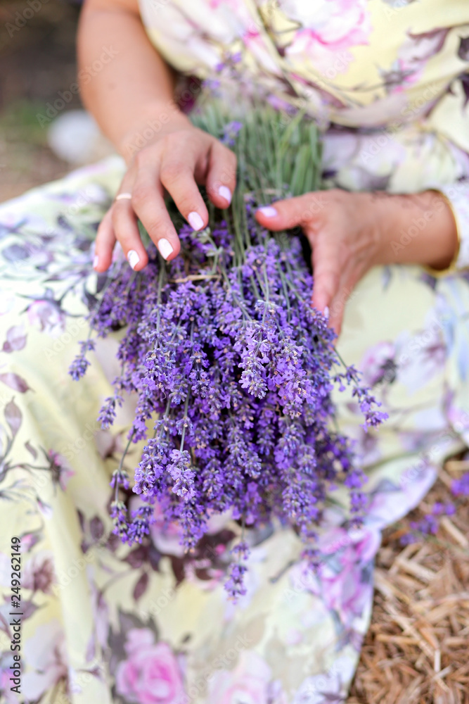 Lavender in the hands with a nice manicure Lavender in the hands with a nice manicure