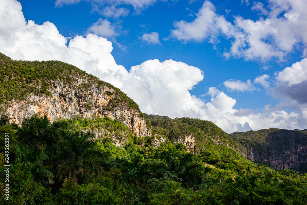 A view of mountain forest landscape in Cuba