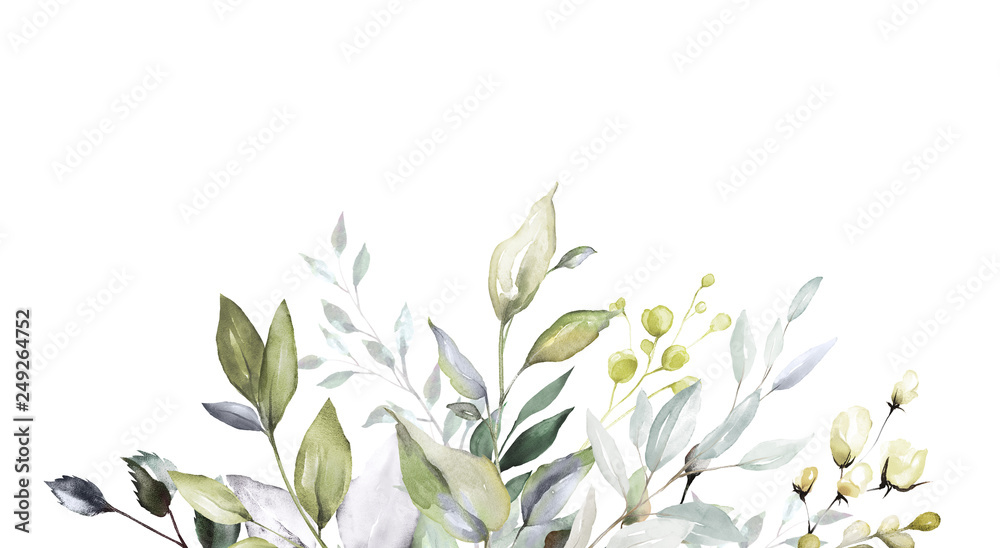 botanical design. horizontal herbal banners on white background for wedding invitation, business products. web banner with leaves, herbs - obrazy, fototapety, plakaty 