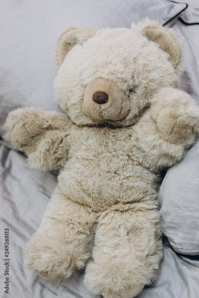 plush teddy bear plush teddy bear