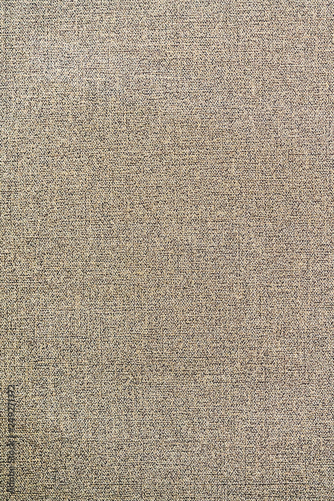 Fototapeta premium texture