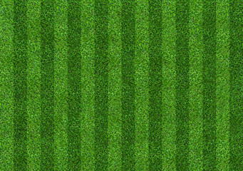 Green grass field background for soccer and football sports. Green lawn pattern and texture background. Close-up.
