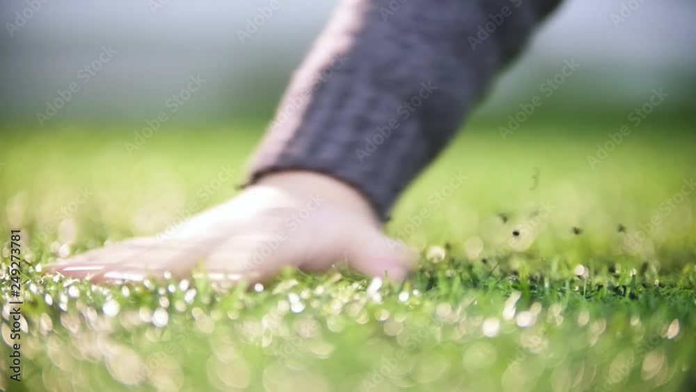 Indoor football arena. A hand palming the artificial grass Indoor football arena. A hand palming the artificial grass