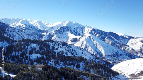 Blue sky and snow-covered hills. Coniferous trees grow in the mountains. Many fir trees in the highlands. Prominent snow-capped peaks. Shooting from a height, with a quadrocopter. Mountain view.