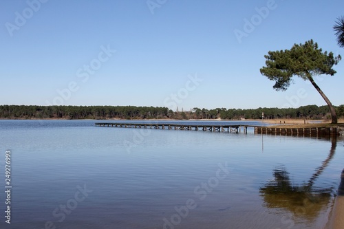 Fototapeta Naklejka Na Ścianę i Meble -  le lac de Cazaux et Sanguinet sur la côte atlantique