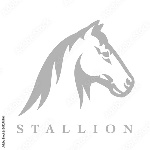 Fototapeta Naklejka Na Ścianę i Meble -  Equestrian horse logo with stallion silhouette