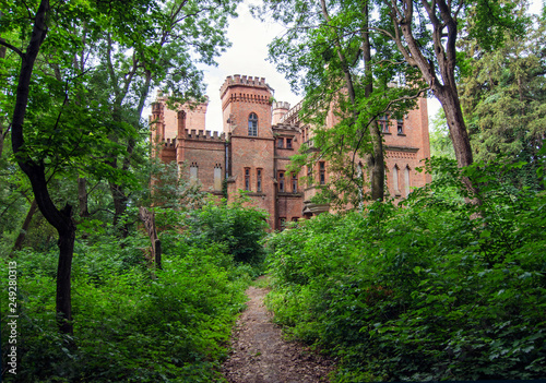 The majestic palace in the park among green trees photo