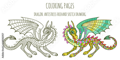 Coloring pages. Coloring book for adults with a fabulous dragon. Anti-stress freehand sketch with doodle elements.