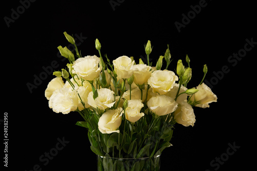Bunch of tender yellow flowers