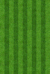 Green grass field background for soccer and football sports. Green lawn pattern and texture background. Close-up.
