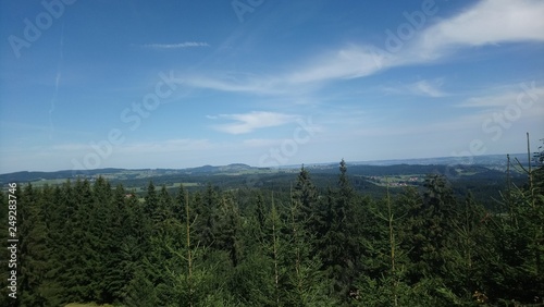 landscape summer mountain forest meadow alps ausblick sommer grüne wiese himmel alpen blau berge