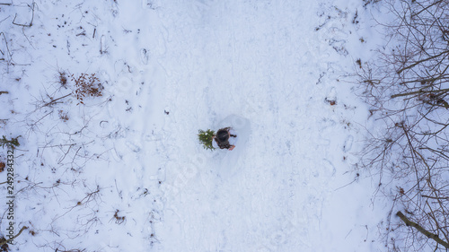 Winter wedding and snowy forest landscape view from the drones above the ground forest road covered with snow from the middle height during flight