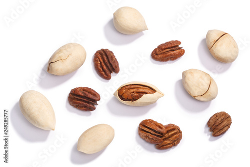 Pecan nuts c.illinoinensis seeds, top, paths