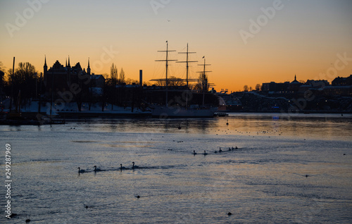 An early sunny spring day in Stockholm, birds and ice drifting on flow of meltwater