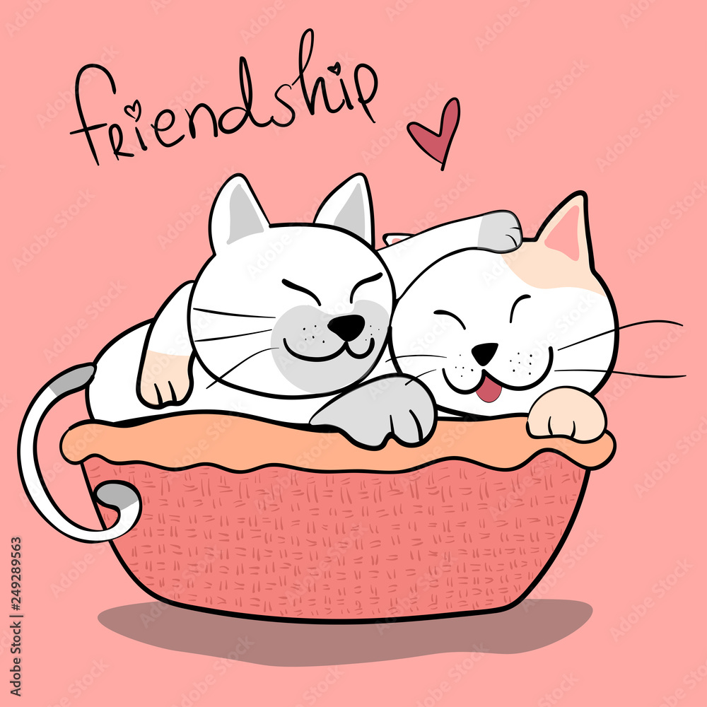 Obraz cute couple friendship cat hug each other on pink background