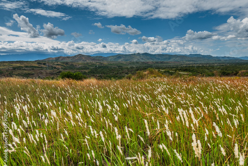 Quadro em tela Beautiful landscape in southwestern Uganda, at the Bwindi Impenetrable Forest National Park, at the borders of Uganda, Congo and Rwanda