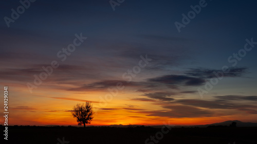 sunset in the countryside