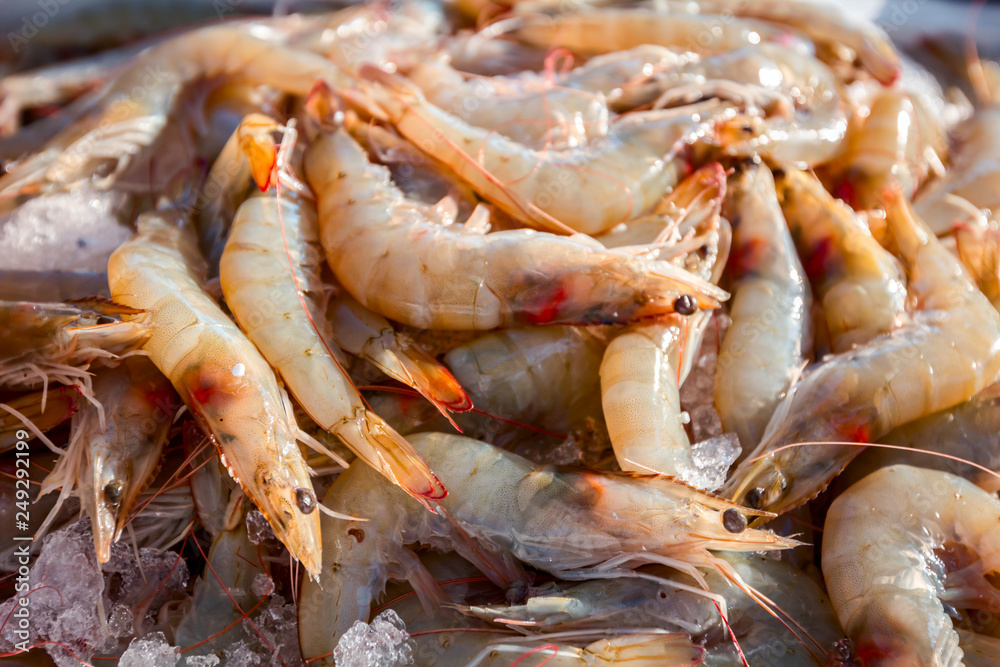 Fresh shrimp on Ice at outdoor fish flea market Fresh shrimp on Ice at outdoor fish flea market