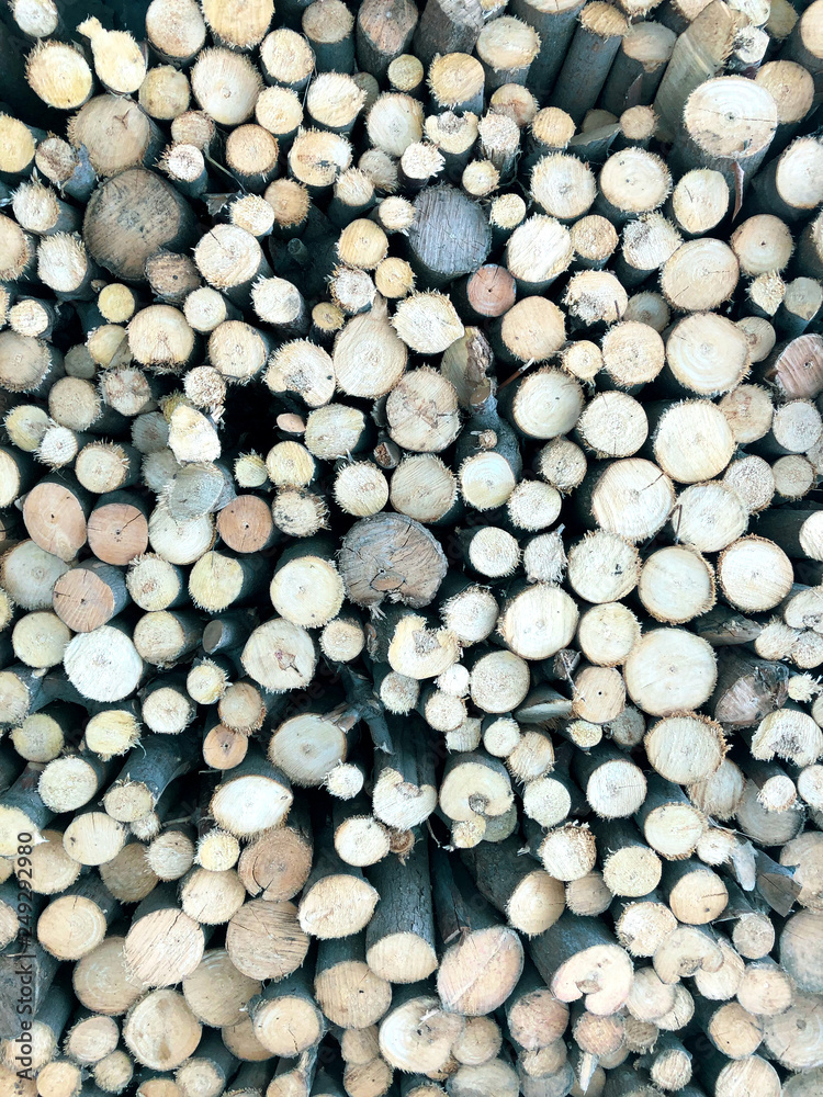 Firewood for heating, fires, fireplaces. Background from sawn tree trunks. The ends of the tree for the background. Firewood for heating, fires, fireplaces. Background from sawn tree trunks. The ends of the tree for the background.