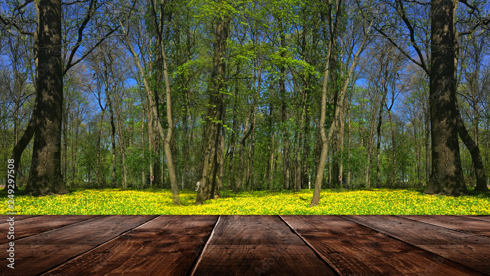 Spring background table. Spring background table.