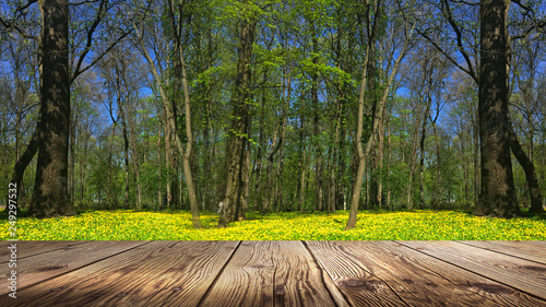 Spring background table.