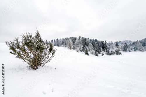 Panorama of the foggy winter landscape in the mountains © bubutu