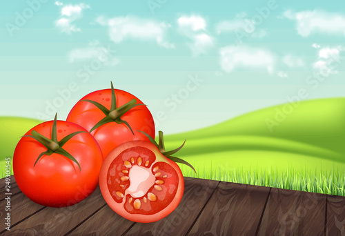 Tomatoes on wooden table Vector realistic. Green eco background. Detailed 3d ...