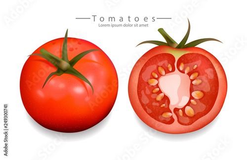 Tomatoes sliced isolated Vector realistic. Detailed 3d illustration template ...