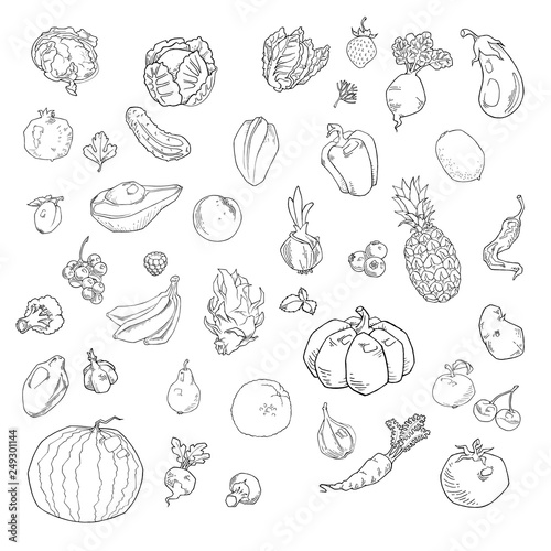 vector set of hand drawn fruits and vegetables