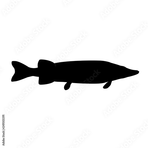 Pike fish silhouette